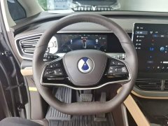 Denza BYD Denza D9 DM-i 980 Four-Wheel Drive Premium - ფოტო 11