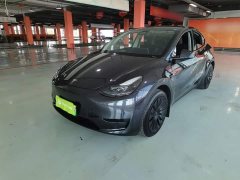 Tesla Model Y Rear-Wheel Drive - ფოტო 1