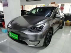 Tesla Model Y Long Range All-Wheel Drive - ფოტო 1