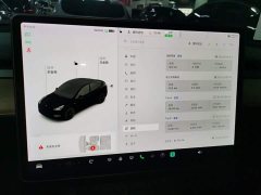 Tesla Model Y Long Range All-Wheel Drive - ფოტო 12