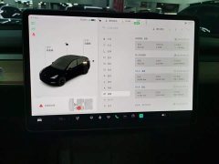 Tesla Model Y Long Range All-Wheel Drive - ფოტო 13