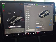 Tesla Model 3 Facelift Standard Range RWD Upgrade 3D1 - ფოტო 12