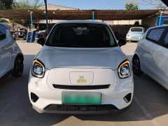 Leapmotor Leapo T03 400 Online Ride-hailing Edition - ფოტო 3