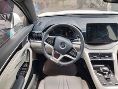 BYD Song Plus New Energy EV Premier - ფოტო 11