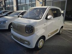 FAW Besturn Xiaoma 222km Lightning Edition - ფოტო 2