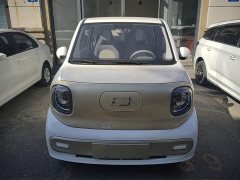 FAW Besturn Xiaoma 222km Lightning Edition - ფოტო 3