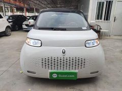 Ora White Cat 2022 Upgrade 305km Luxury Trim Ternary Lithium Battery - ფოტო 3