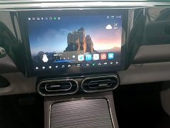 Leapmotor C11 Pure Electric 500 Smart Enjoy Edition - ფოტო 13