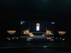 Volkswagen Passat Outstanding Edition 330TSI Elite - ფოტო 12