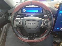 Ford Mustang Mach-E 2021 Standard Range RWD - ფოტო 11