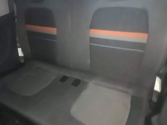 Wuling Hongguang MINIEV 2020 Zizai Edition LFP Battery - ფოტო 17