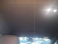 BYD Qin PLUS DM-i Smart Drive Edition 55KM Leading - ფოტო 18