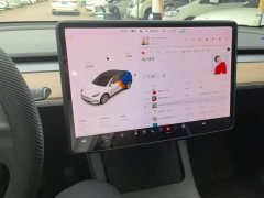 Tesla Model Y Long Range All-Wheel Drive - ფოტო 13