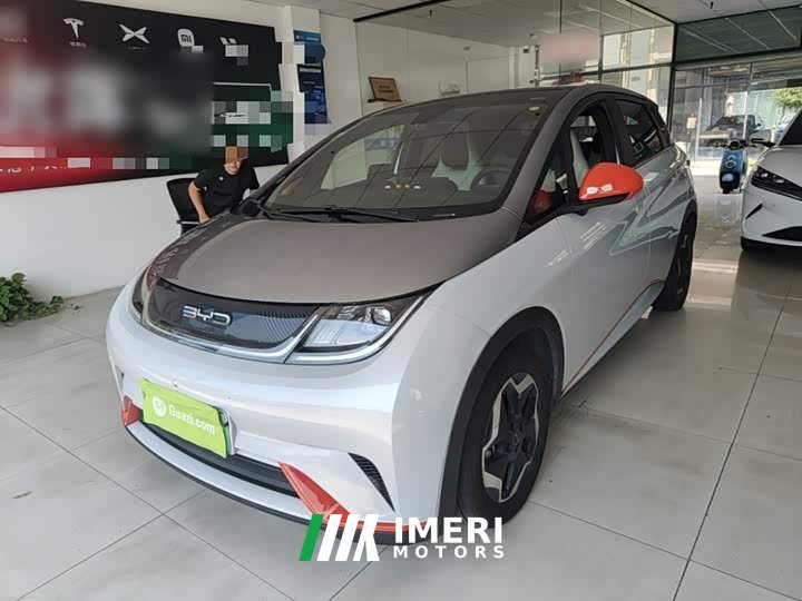 BYD Dolphin 405km Fashion Edition - ავტომობილი ჩინეთიდან