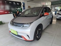 BYD Dolphin 405km Fashion Edition - ფოტო 1
