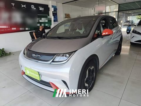 2021 BYD Dolphin 405km Fashion Edition - ავტომობილი ჩინეთიდან
