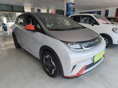 BYD Dolphin 405km Fashion Edition - ფოტო 4