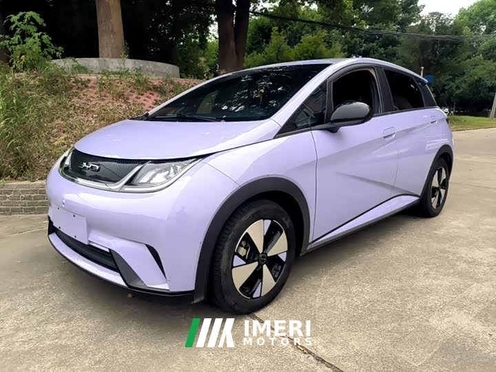 BYD Dolphin 420km Freedom Edition - ავტომობილი ჩინეთიდან