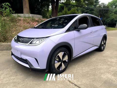 2023 BYD Dolphin 420km Freedom Edition - ავტომობილი ჩინეთიდან