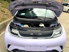 BYD Dolphin 420km Freedom Edition - ფოტო 20