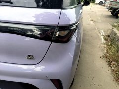 BYD Dolphin 420km Freedom Edition - ფოტო 8