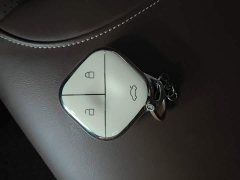 Wuling Binguo 410km Lingxi Premium Edition - ფოტო 9
