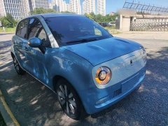 ORA Black Cat 351km Standard - ფოტო 4