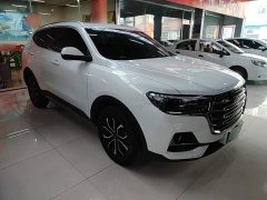 Haval H6 2021 National Trend Edition 1.5T Automatic Urban Version - ფოტო 4