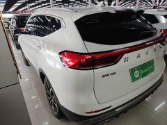 Haval H6 2021 National Trend Edition 1.5T Automatic Urban Version - ფოტო 5