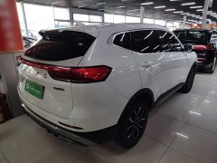 Haval H6 2021 National Trend Edition 1.5T Automatic Urban Version - ფოტო 7