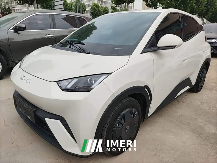BYD Seagull Glory Edition 305km Vitality Version - ავტომობილი ჩინეთიდან