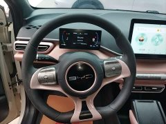 BYD Seagull Glory Edition 305km Vitality Version - ფოტო 11