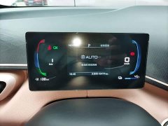 BYD Seagull Glory Edition 305km Vitality Version - ფოტო 12