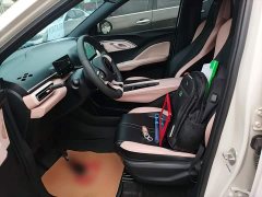 BYD Seagull Glory Edition 305km Vitality Version - ფოტო 15
