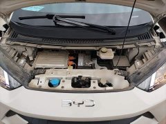 BYD Seagull Glory Edition 305km Vitality Version - ფოტო 20