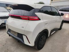 BYD Seagull Glory Edition 305km Vitality Version - ფოტო 7
