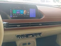 ORA Good Cat 400km Standard Range Deluxe Edition LFP Battery - ფოტო 13