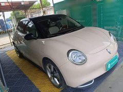 ORA Good Cat 400km Standard Range Deluxe Edition LFP Battery - ფოტო 4