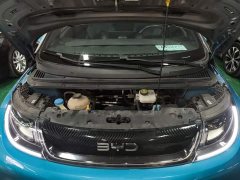 BYD Dolphin 401km Knight Edition - ფოტო 20