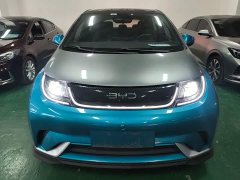 BYD Dolphin 401km Knight Edition - ფოტო 3