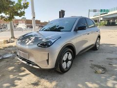 Geely Star Wish 2026 310km Youth Edition - ფოტო 2