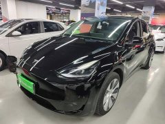 Tesla Model Y Rear-Wheel Drive - ფოტო 2