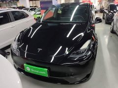 Tesla Model Y Rear-Wheel Drive - ფოტო 3