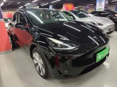 Tesla Model Y Rear-Wheel Drive - ფოტო 4