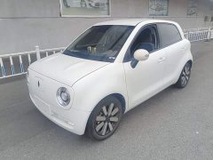 ORA Black Cat 351km Luxury - ფოტო 2
