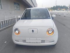 ORA Black Cat 351km Luxury - ფოტო 3