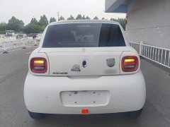 ORA Black Cat 351km Luxury - ფოტო 4