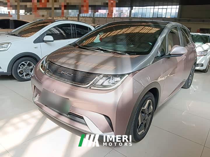 BYD Dolphin 405km Fashion Edition - ავტომობილი ჩინეთიდან