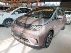 BYD Dolphin 405km Fashion Edition - ფოტო 1
