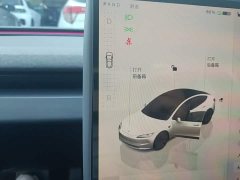 Tesla Model 3 2023 Rear-Wheel Drive - ფოტო 14